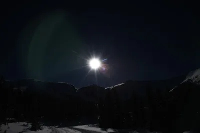 DSC_4939 (Large).JPG